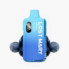 BLUEBERRY LOST MARY BM6000 REFILL PACK